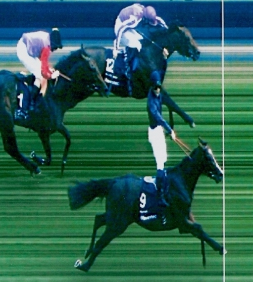 2011-Derby-website-edit3.jpg